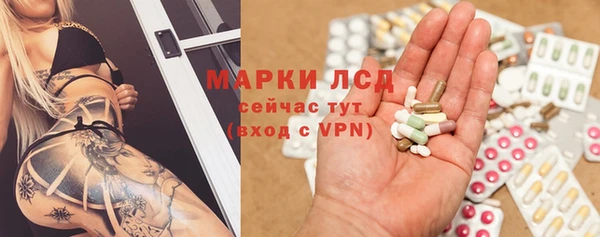 apvp Алзамай