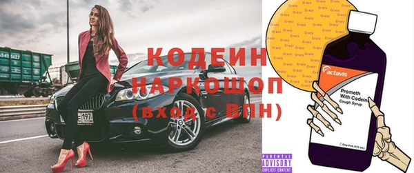 apvp Алзамай