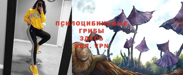 apvp Алзамай