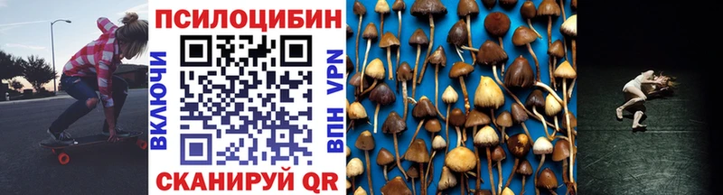 Галлюциногенные грибы Psilocybine cubensis  Купить  Саки 